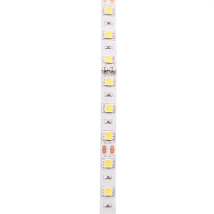 LED Strip 5m LED/10W/12V IP20 wit