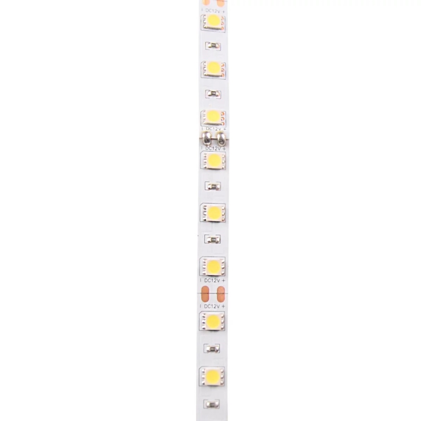 LED Strip 5m LED/10W/12V IP20 wit