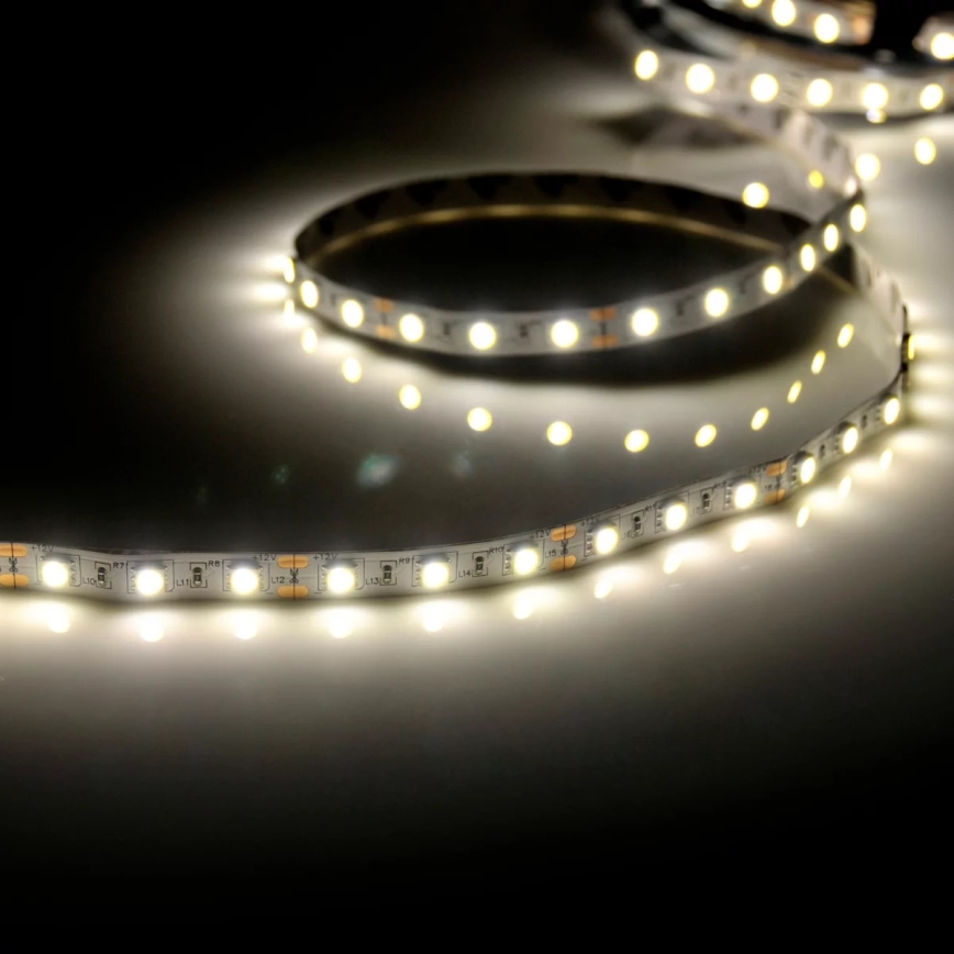 LED Strip 5m LED/10W/12V IP20 wit