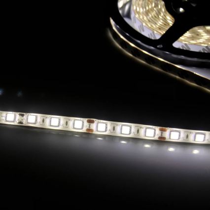 LED Strip 5m LED/10W/12V IP20 wit