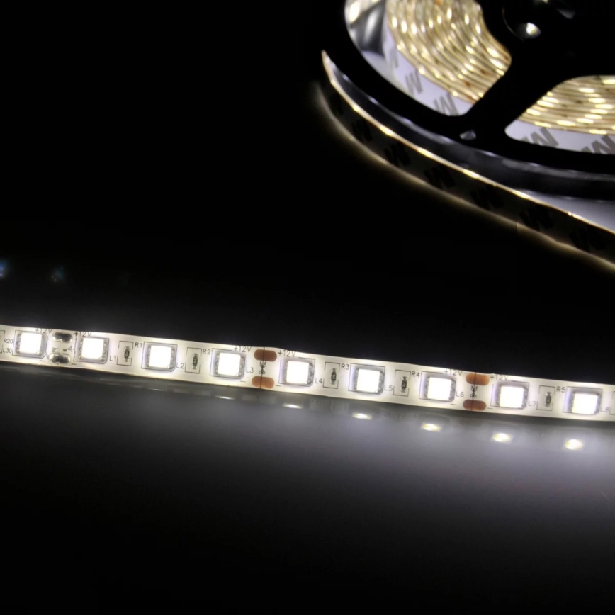 LED Strip 5m LED/10W/12V IP20 wit