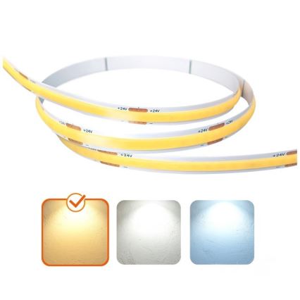 LED Strip TRAMO LED/500W/24V 50 m 3000K