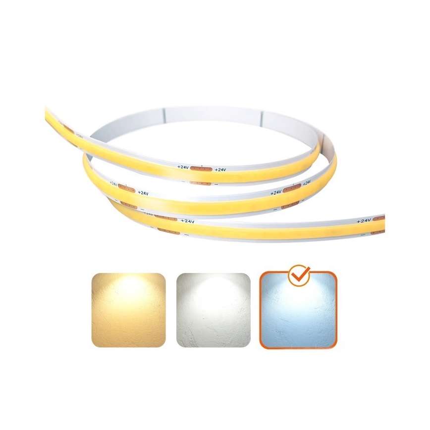 LED Strip TRAMO LED/500W/24V 50 m 6500K