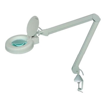 LED Tafellamp met vergrootglas LED/5W/230V 6000K wit