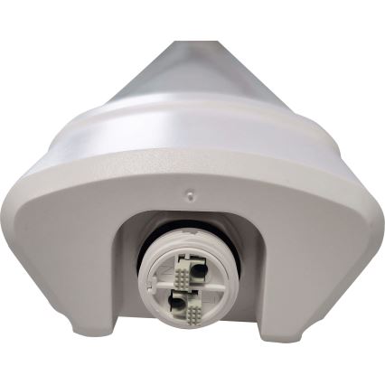 LED TL-buis DAISY LED/80W/230V 4000K IP65