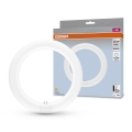 LED TL-buis G10q/11W/230V 4000K - Osram