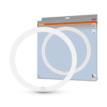 LED TL-buis G10q/24W/230V 4000K - Osram