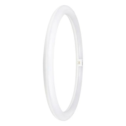 LED TL-buis G10q/24W/230V 6500K - Osram