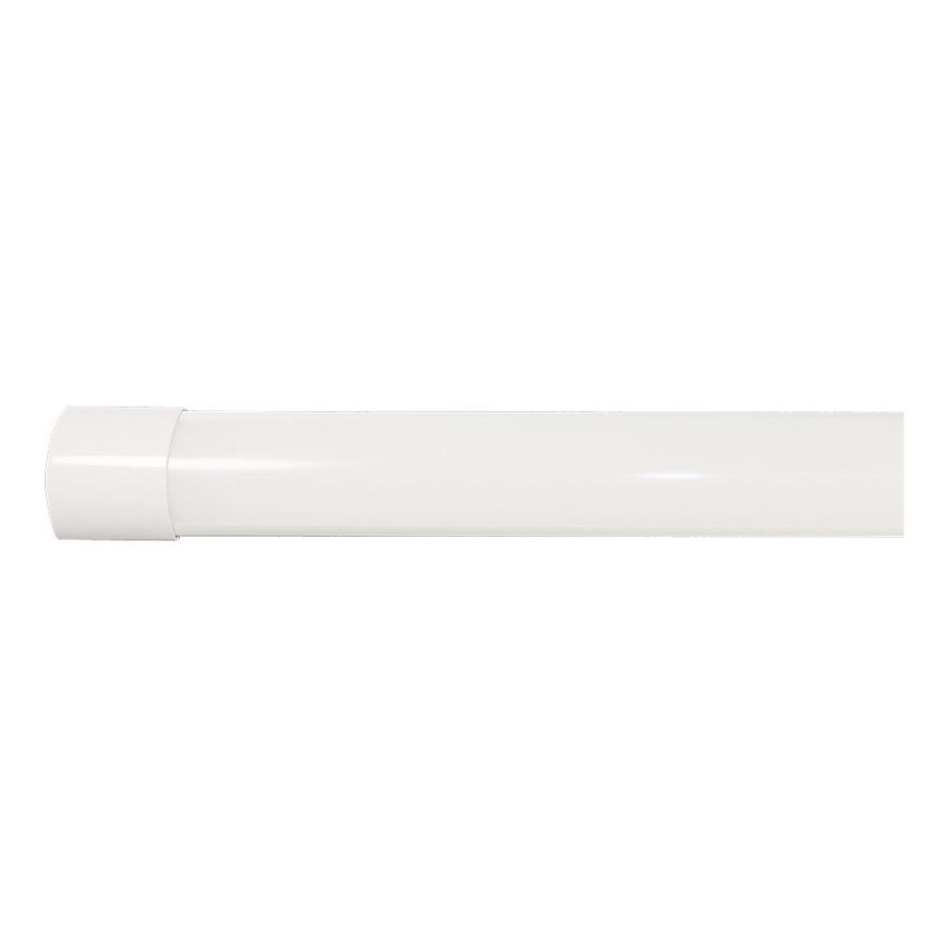 LED TL-buis LED/40W/230V 3000/4000/6500K 116 cm