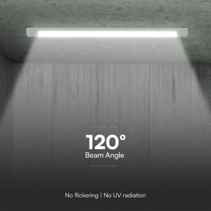 LED TL-buis LED/40W/230V 3000/4000/6500K 116 cm