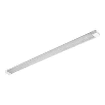 LED TL-buis LED/72W/230V 4000K 120 cm