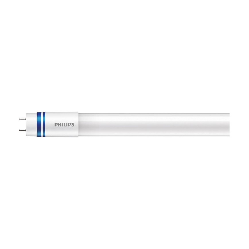 LED TL-buis Philips MASTER T8 G13/21,5W/230V 6500K 120 cm