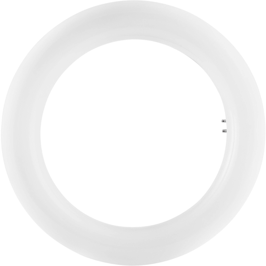 LED TL-buis SUBSTITUBE T9 G10q/12W/230V 4000K diameter 20,5 cm  - Osram