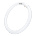 LED TL-buis T9 G24q-1/32W/230V 6500K - Aigostar
