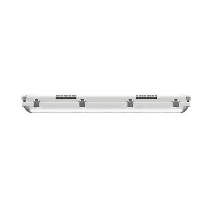 LED TL-buis werkverlichting LIMEA GIGANT PRO LED/12/21W/230V 4000K IK10 IP66 60 cm