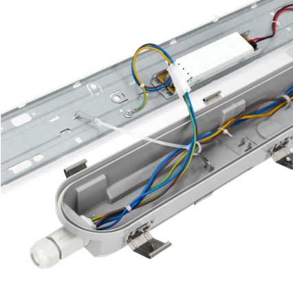 LED TL-buis werkverlichting NEXFORCE LED/36W/230V 4000K IP66
