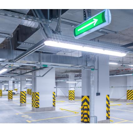 LED TL-buis werkverlichting NEXFORCE LED/52W/230V IP66 4000K