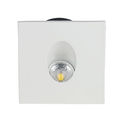 LED Traplicht LED/3W/230V 3000K wit