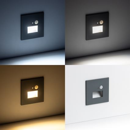 LED Trapverlichting met bewegingssensor LED/1,5W/230V 3000K/4000K/6500K