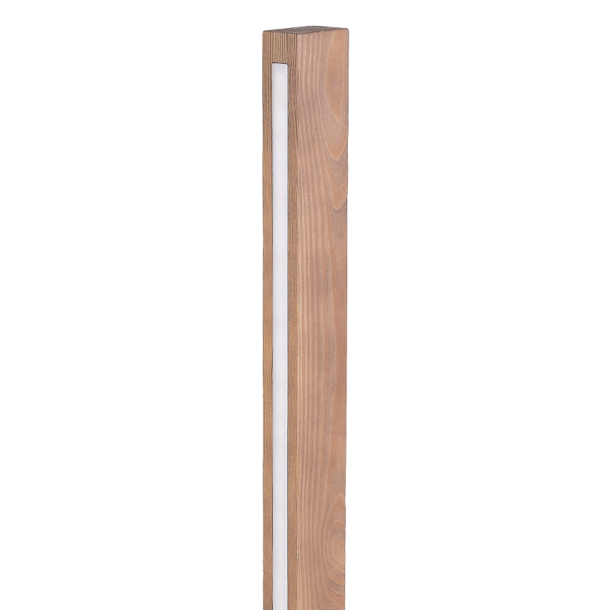 LED Vloerlamp TEO LED/30W/230V hout