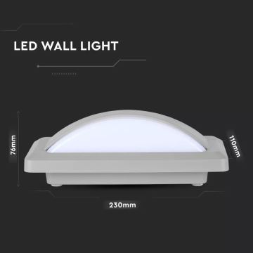 LED Wand Lamp voor Buiten LED/12W/230V IP65 6400K