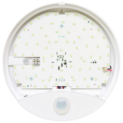 LED Wandlamp met sensor voor buiten LORA LED/15W/230V IP44