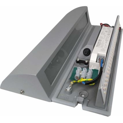 LED Wandlamp voor buiten LED/10W/230V IP54
