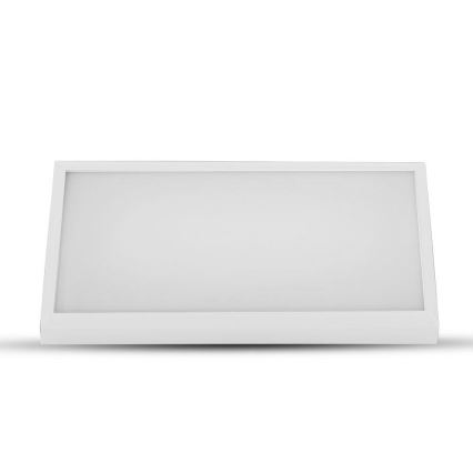 LED Wandlamp voor buiten LED/12W/230V 3000K IP65 wit