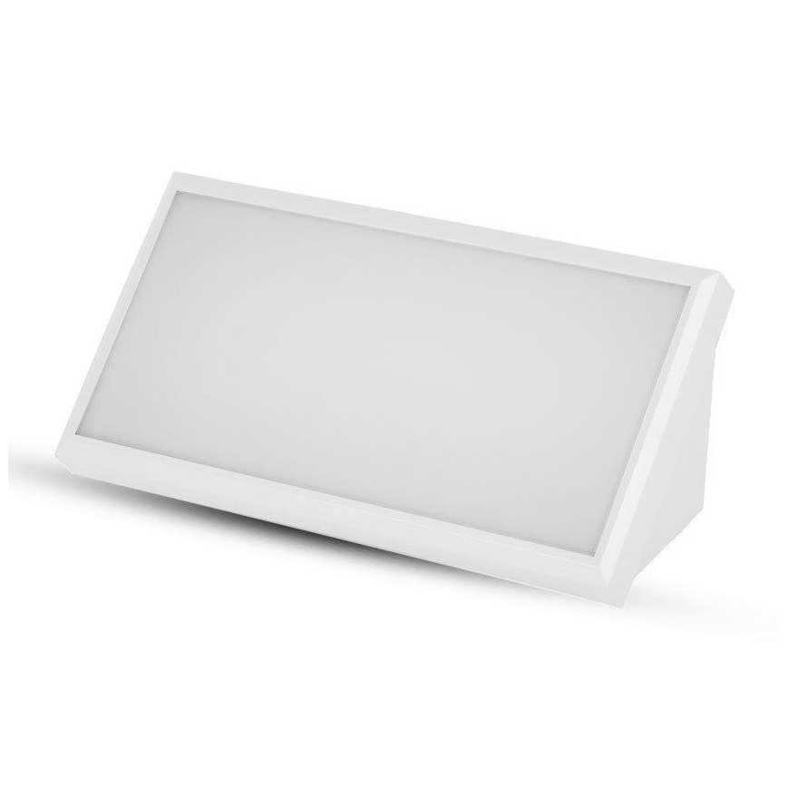 LED Wandlamp voor buiten LED/20W/230V 4000K IP65 wit