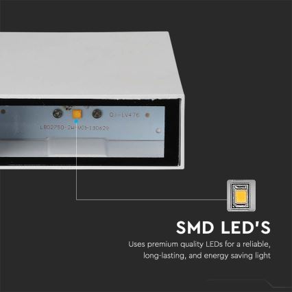 LED Wandlamp voor buiten LED/4W/230V 3000K IP65 wit