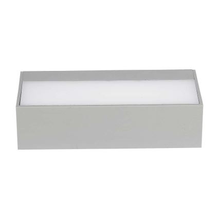 LED Wandlamp voor buiten LED/9W/230V 6500K IP65