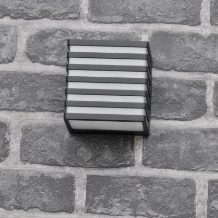 LED Wandlamp voor buiten MAXWELL LED/10W/230V IP54 grafiet
