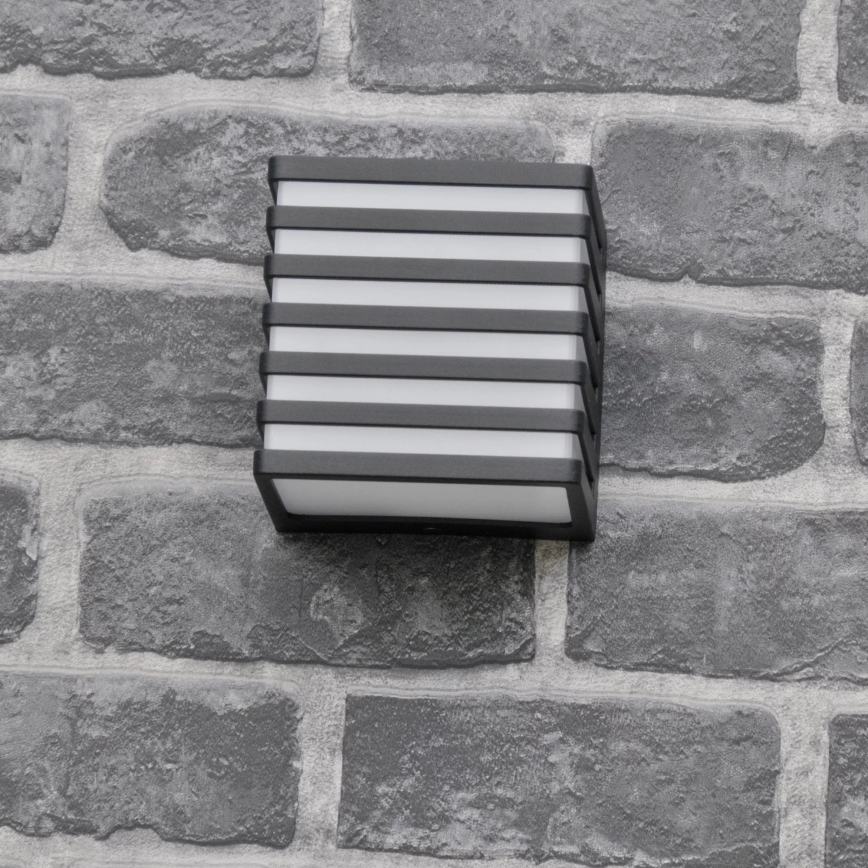 LED Wandlamp voor buiten MAXWELL LED/10W/230V IP54 grafiet