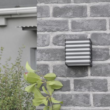 LED Wandlamp voor buiten MAXWELL LED/10W/230V IP54 grafiet