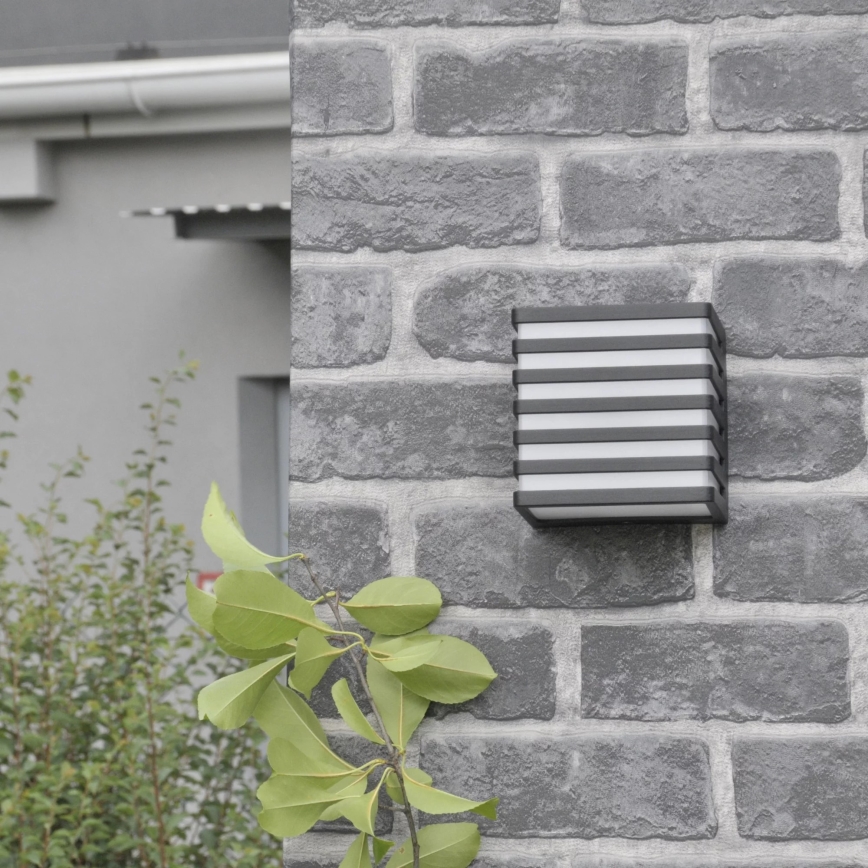LED Wandlamp voor buiten MAXWELL LED/10W/230V IP54 grafiet