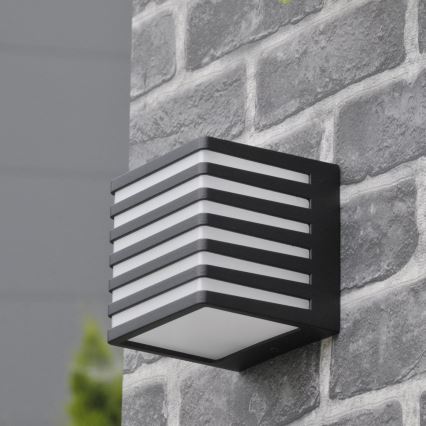 LED Wandlamp voor buiten MAXWELL LED/10W/230V IP54 grafiet