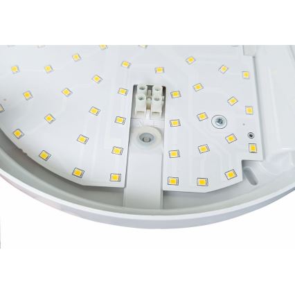 LED Wandlamp voor buiten met sensor HIBIS LED/15W/230V IP44