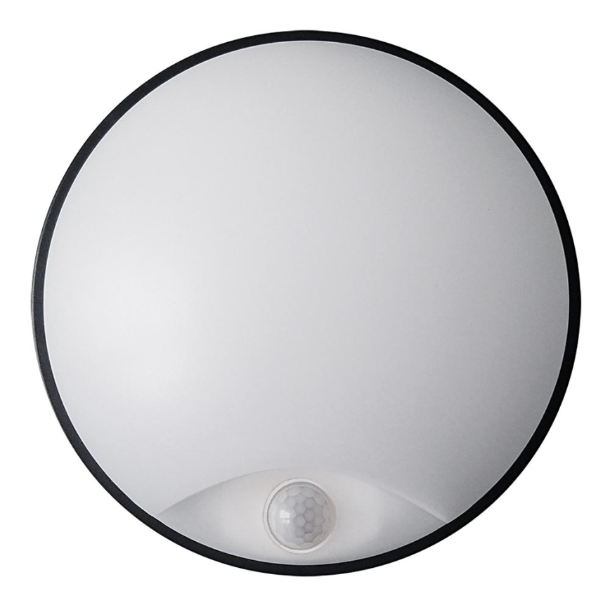 LED Wandlamp voor buiten met sensor LED/14W/230V IP54