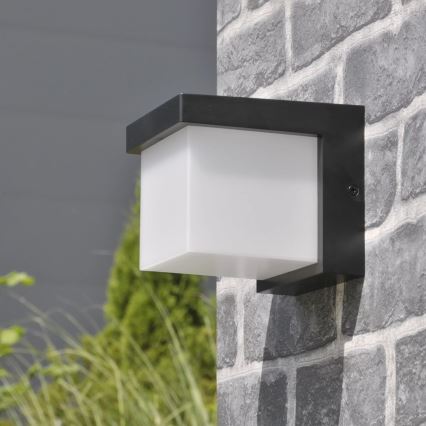 LED Wandlamp voor buiten MORGAN LED/10W/230V IP54