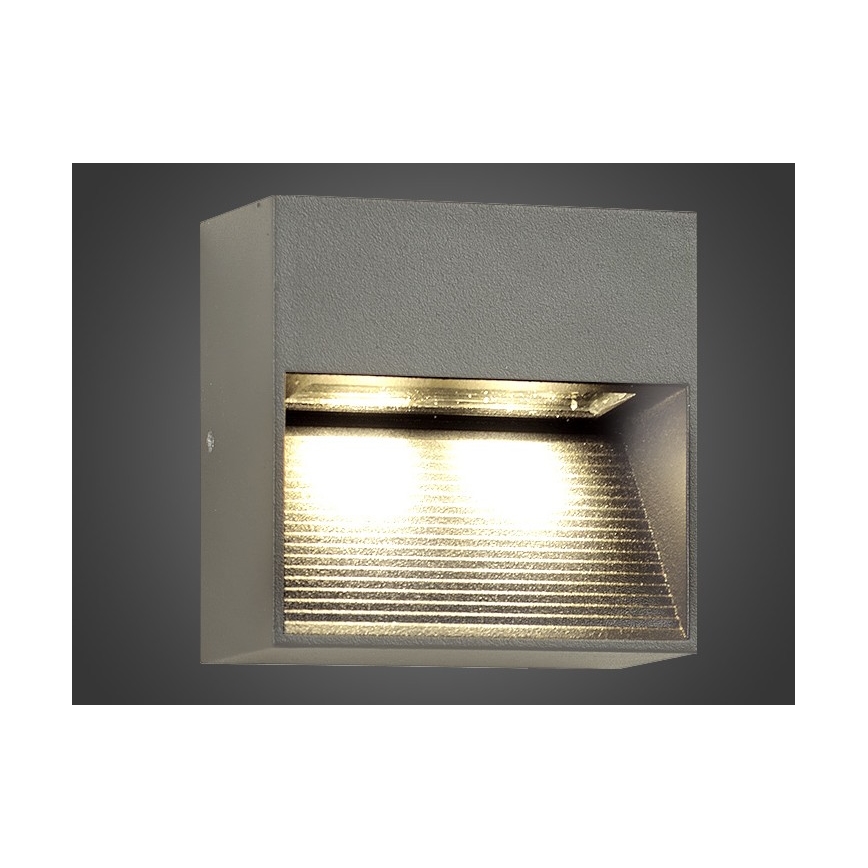 LED Wandlamp voor buiten NINION LED/2W/230V IP54