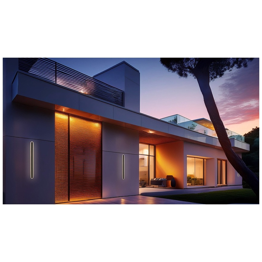 LED Wandlamp voor buiten STICK LED/12W/230V IP65 3000K 30 cm