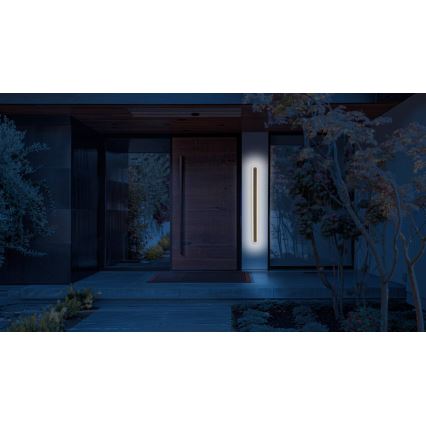 LED Wandlamp voor buiten STICK LED/45W/230V IP65 3000K 150 cm