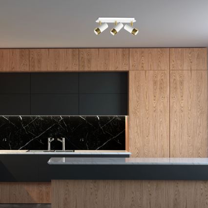 LED Wandspot DANI 3xGU10/8W/230V