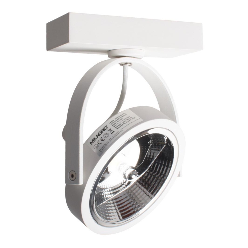 LED Wandspot LUGAR 1xAR111 - GU10/25W/230V