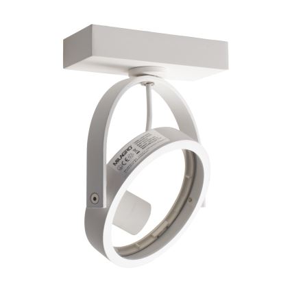 LED Wandspot LUGAR 1xAR111 - GU10/25W/230V