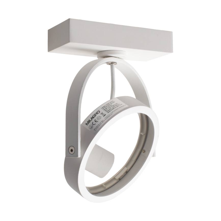 LED Wandspot LUGAR 1xAR111 - GU10/25W/230V