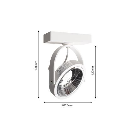 LED Wandspot LUGAR 1xAR111 - GU10/25W/230V