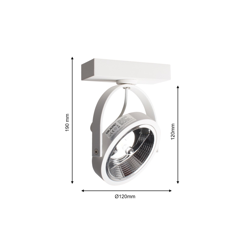LED Wandspot LUGAR 1xAR111 - GU10/25W/230V