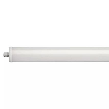 LED Werklamp LED/36W/230V IP65 4000K