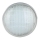 LED Zwembad lamp LED/25W/12V IP68 6500K